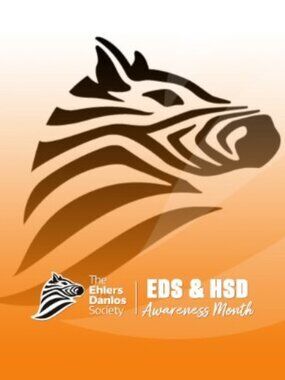 🦓 BUNDLE SALE 25% OFF 4 is extended In recognition of EDS & HSD Awareness Month
